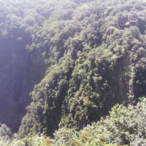 Foto extra 1