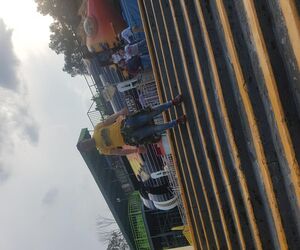 Luis fernando