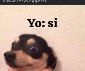 Edifh