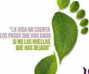 Jose Lopez
