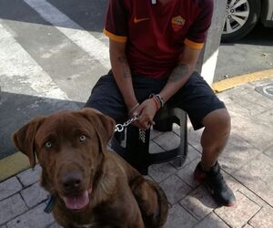 juanjo