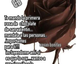 Cesar David Ve