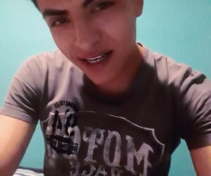 Deimer