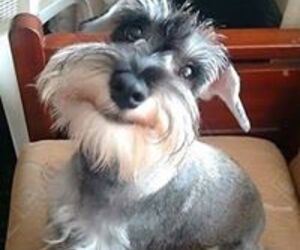 Maximiliano Co