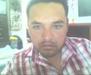 hevert alcindo