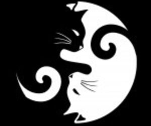 Asia