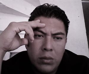 Alfredo M Flor