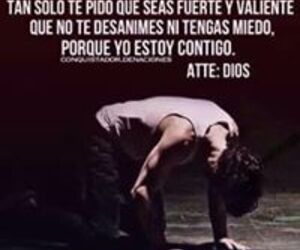Jose Sab Regil