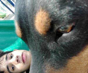 Cesar