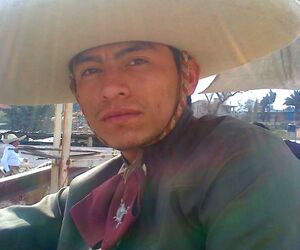 Vaquero