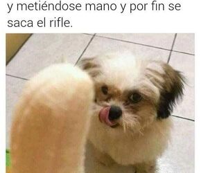 Alezandro