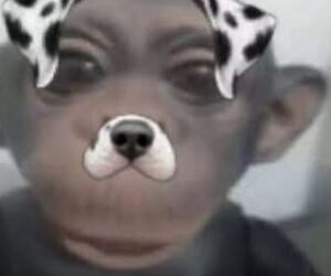 Luis