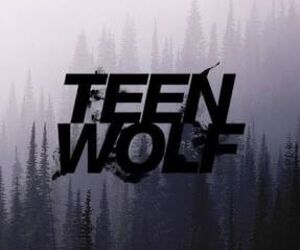 betfinwolf@hot