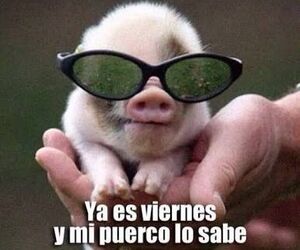 calienteylisto