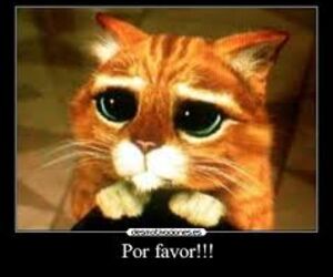 jhon