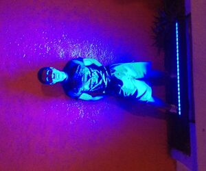 Armando
