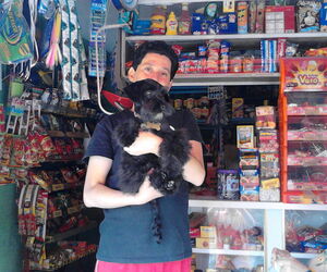 Felipe Pas