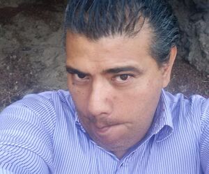 Marco delfin