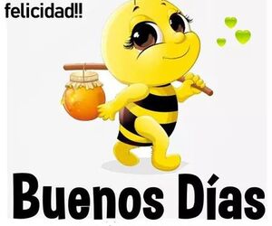 Leidy
