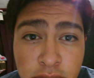 Ulises