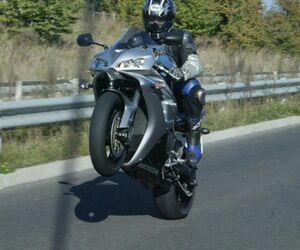 Tena81