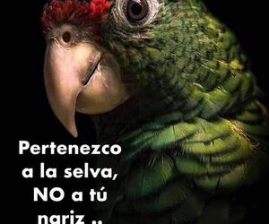 Sergio