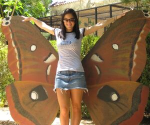 Amia