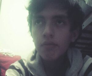 yocar 
