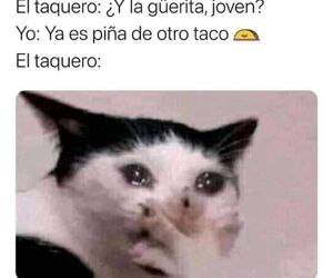 Mexicali