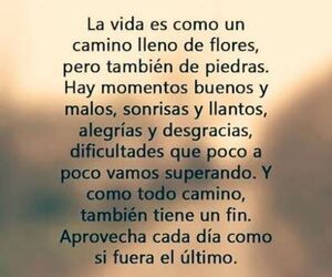 ferch