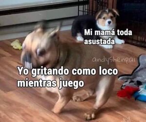Mateo