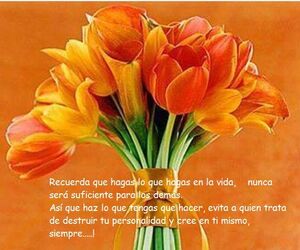 Migreis 