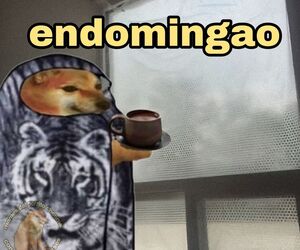 Reginaldo