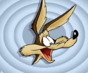 Willecoyote