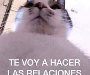 Javier