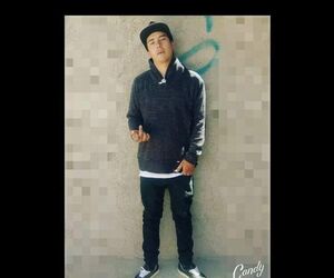 seegio