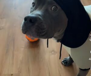 Fernando