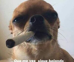 Eduardo