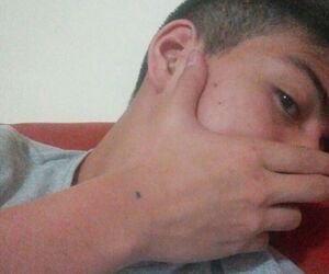 fer