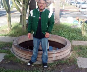 Armando