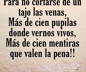 Cecy