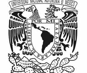 mario torres