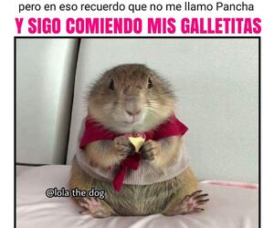 tvlm
