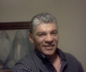david