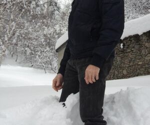 gino