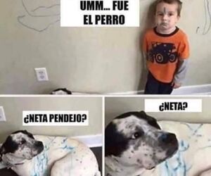 Mauricio