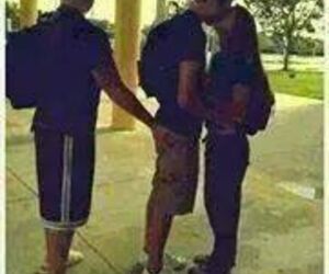 Vifrao Frao
