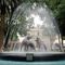 PASEO EN COYOACAN