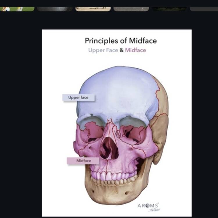 Foto de perfil de An