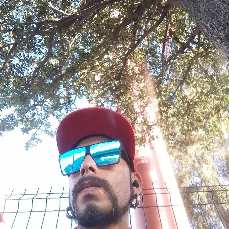 Foto de perfil de Luis